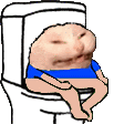 :CatPOOPOO: