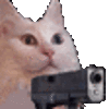 :CatGunning: