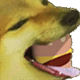 :omNomBurgers1: