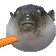 :pufferfish: