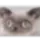 :catShocked: