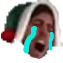 :wayne_crying: