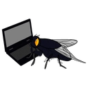 :hackerfly: