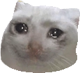 :sadcat: