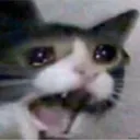 :AAAA: